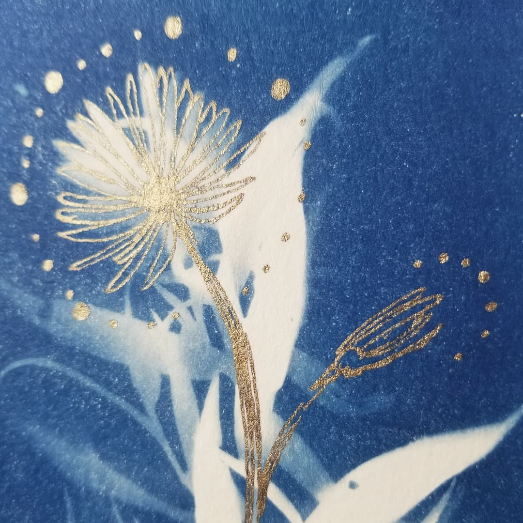 cyanotype, botanical contact print